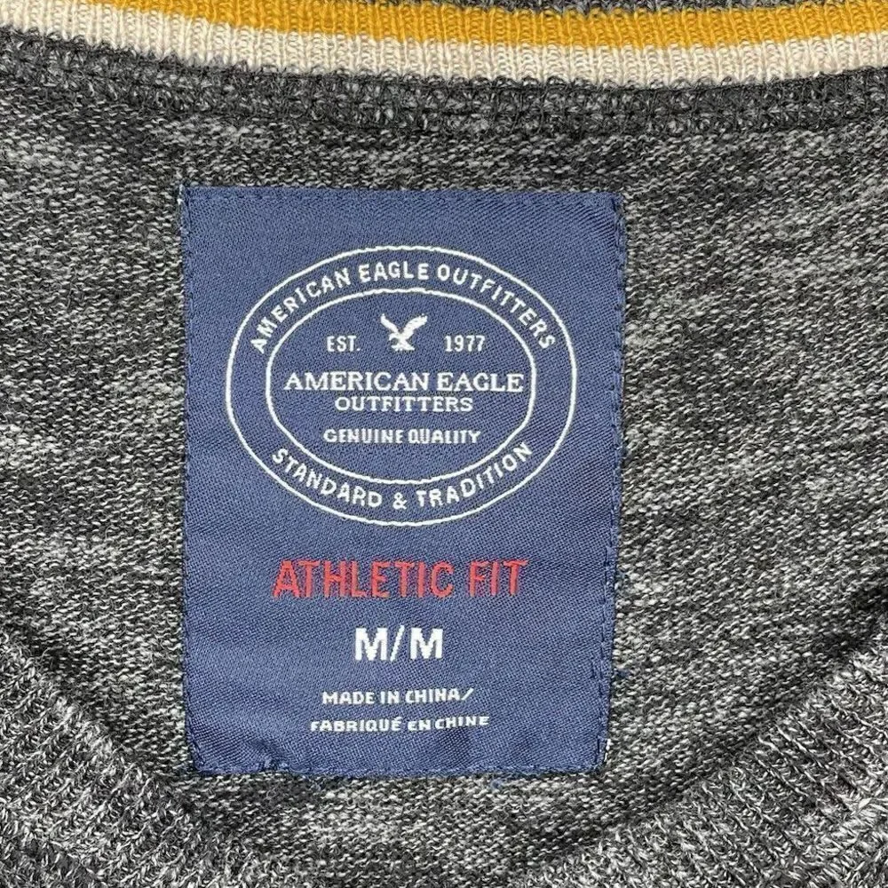 AMERICAN EAGLE Sweater Mens Medium Gray V-Neck Pullover NEW Cotton Athletic Fit